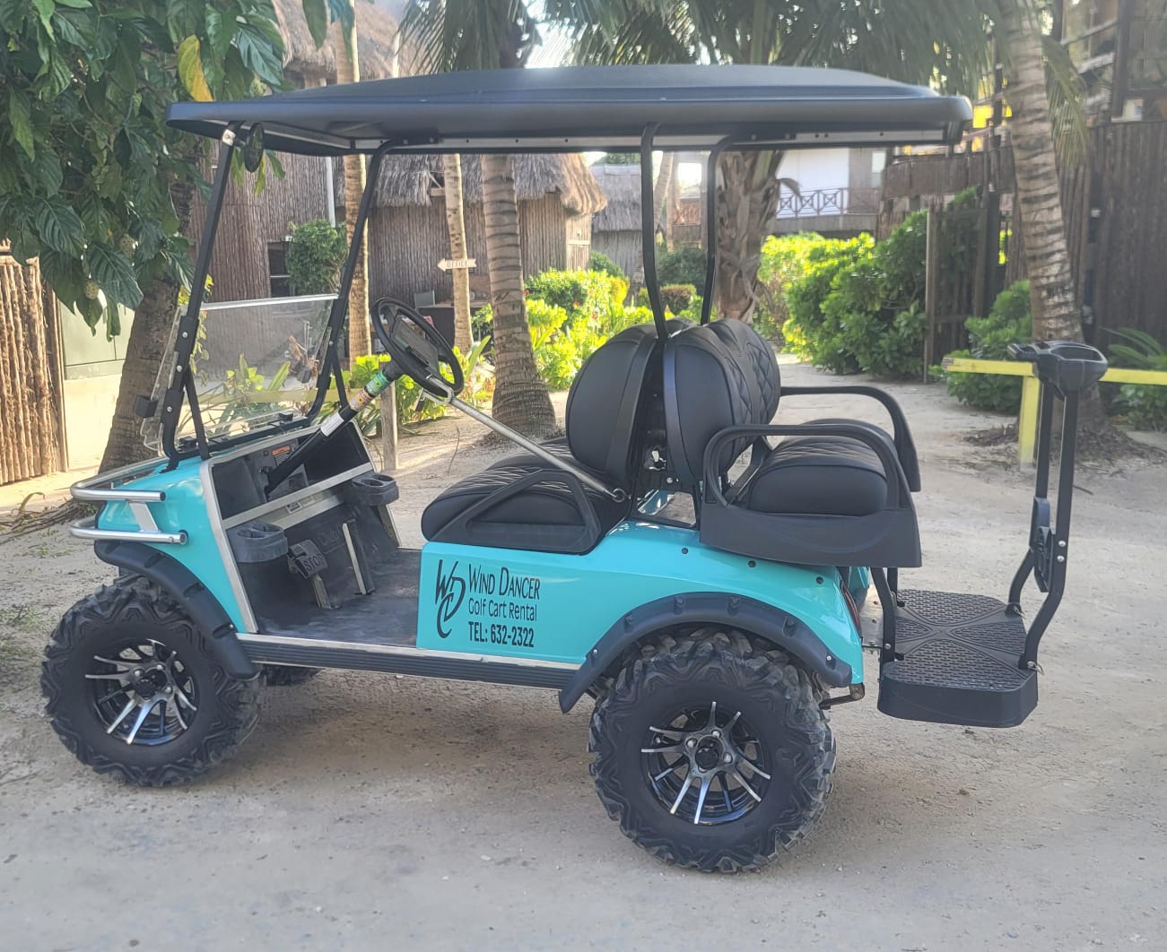 Turquoise Wind Dancer rental golf cart under palm trees
